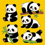 可爱熊猫百态