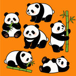 可爱熊猫姿态各异