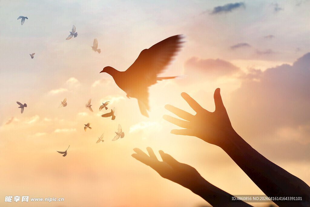 双手托举放飞希望之鸽