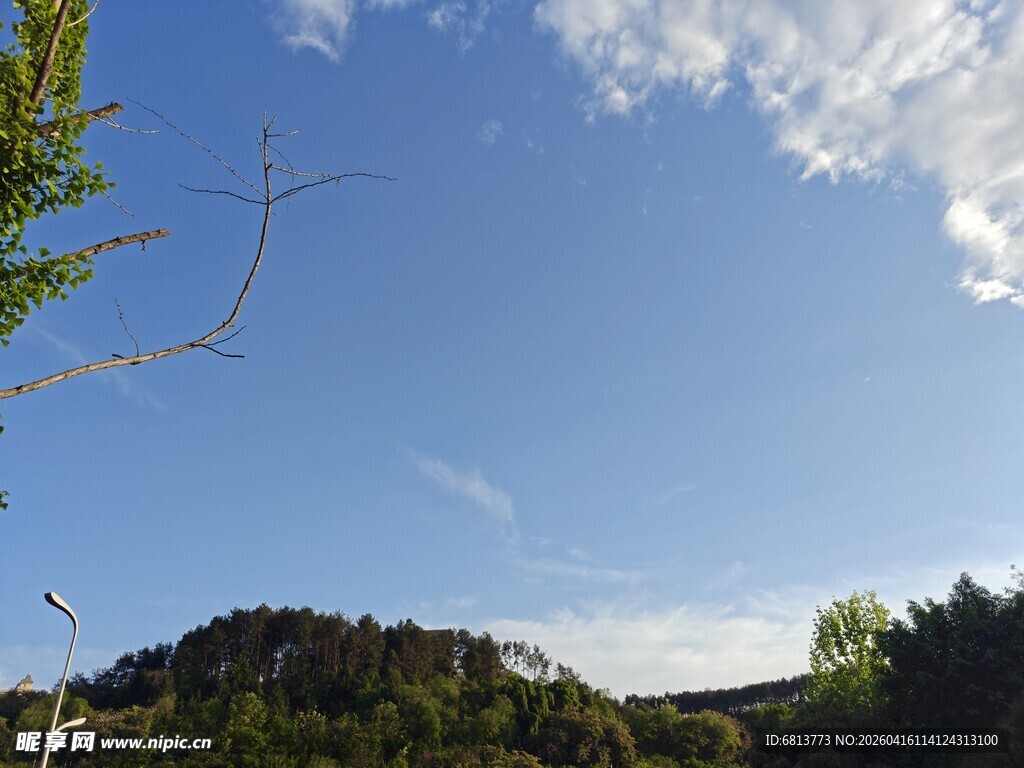 蓝天绿树自然风光图