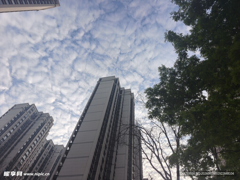 城市高楼与蓝天白云景观