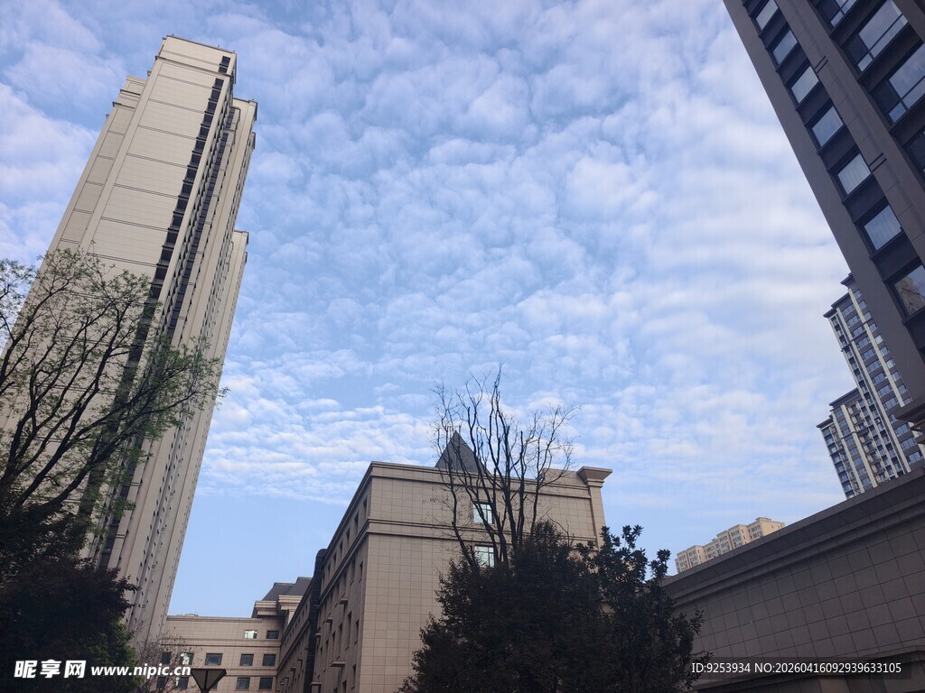 城市高楼与蓝天白云景观