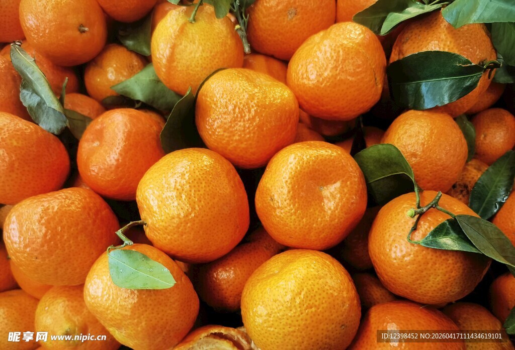 新鲜饱满的橘子