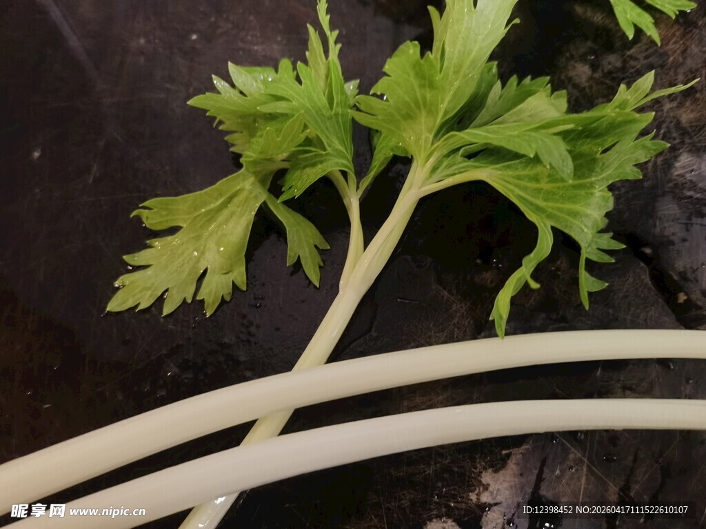 新鲜芹菜茎与嫩叶特写