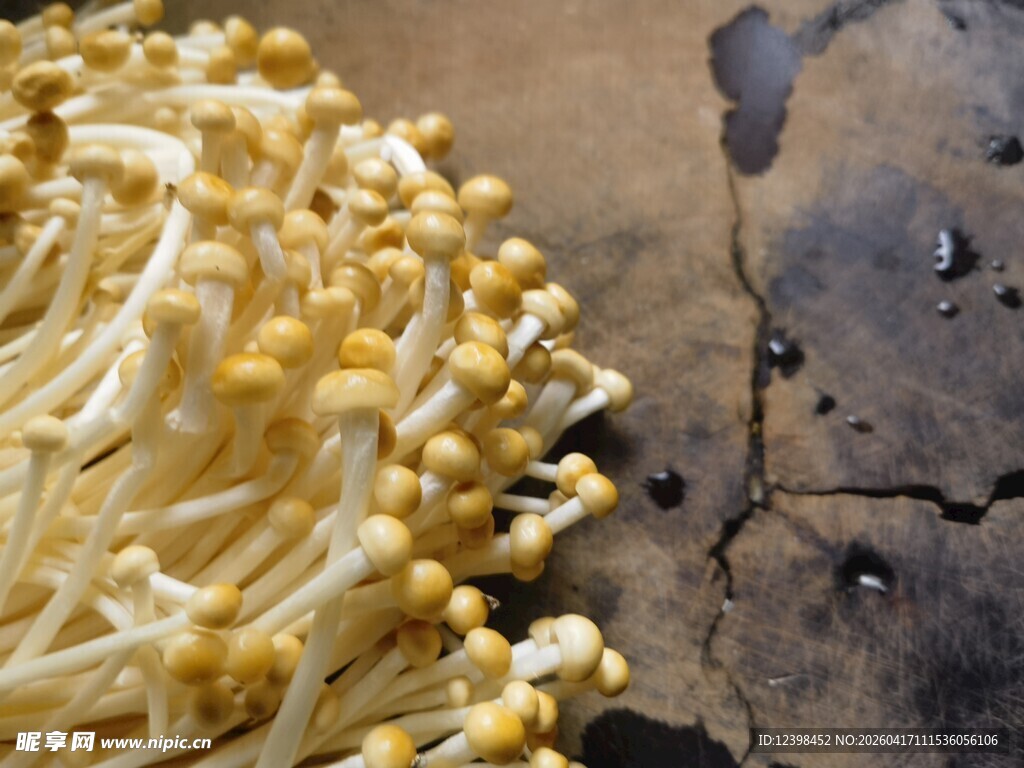 新鲜金针菇特写