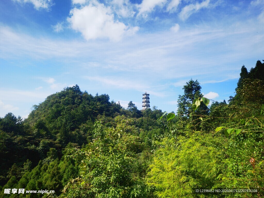 青山绿树间的秀丽景致