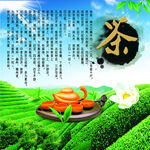 清新茶园中的茶具与繁花