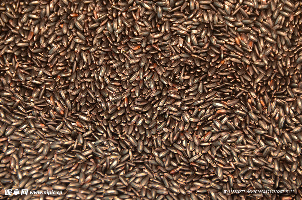 棕色谷物种子纹理特写