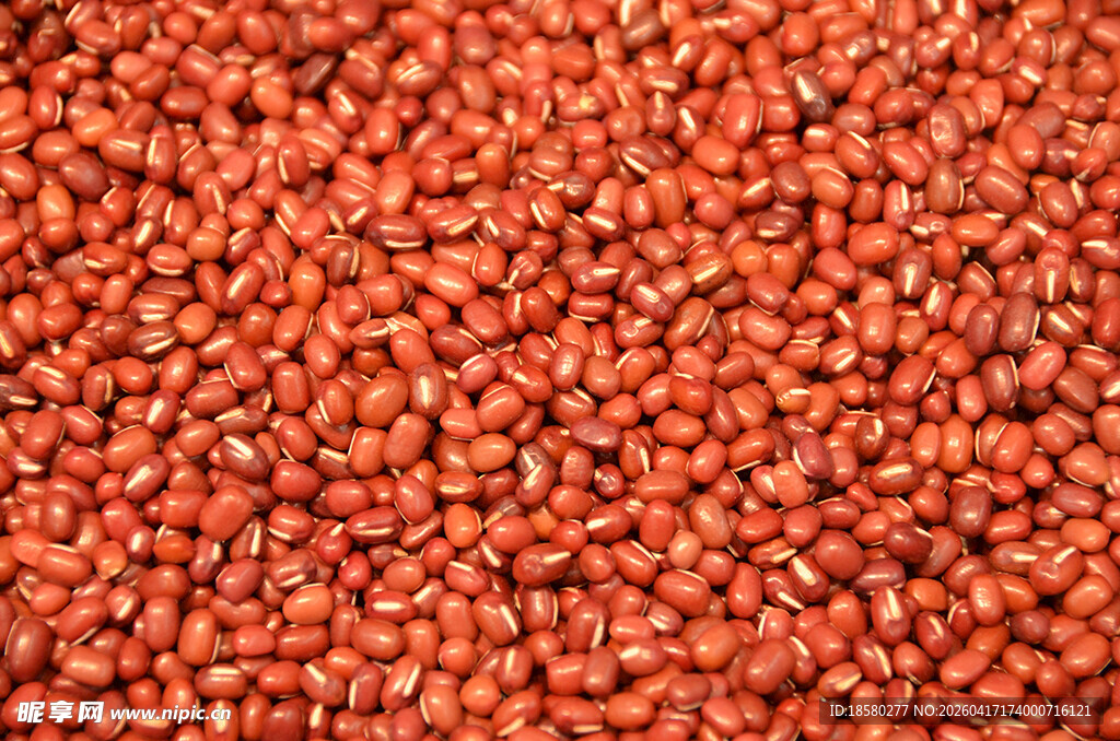 红小豆特写