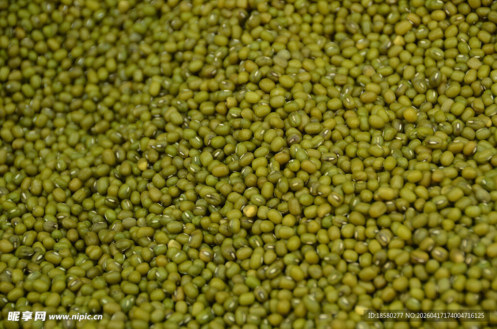 饱满绿豆特写