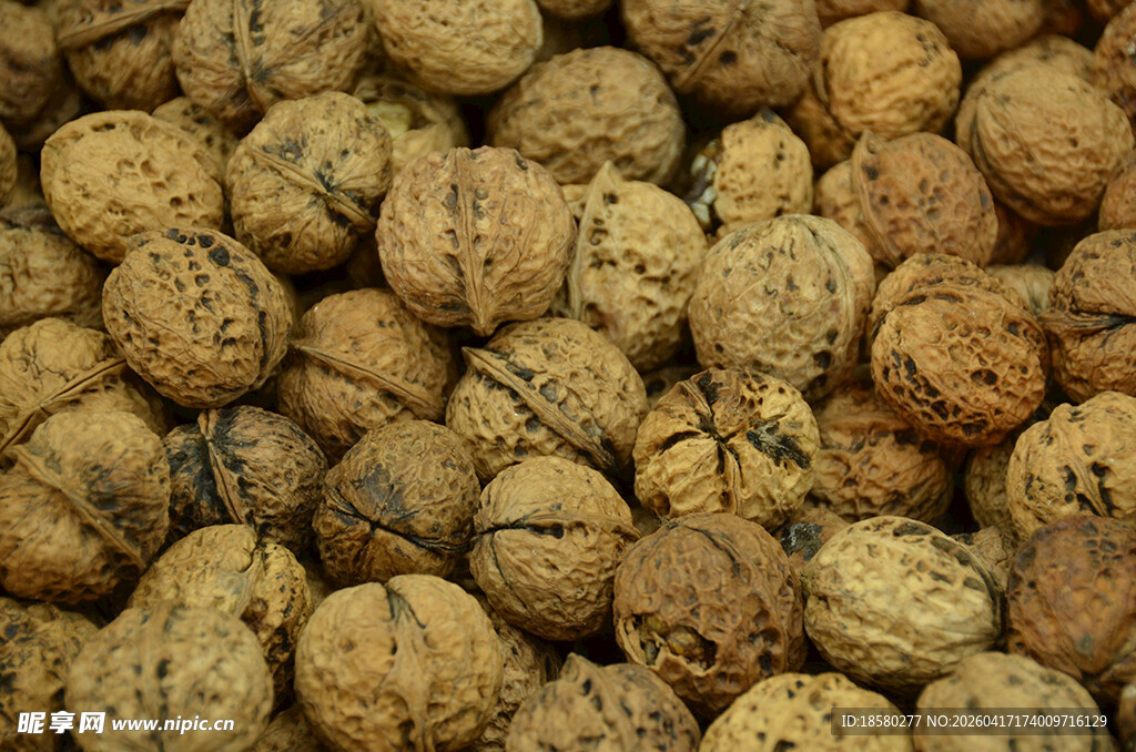 饱满核桃堆叠