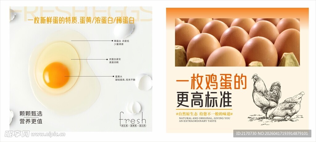 鸡蛋形象广告