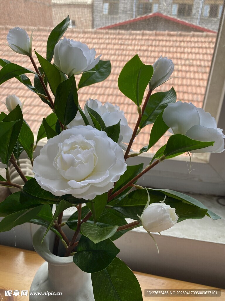 白色山茶花插于素雅花瓶中