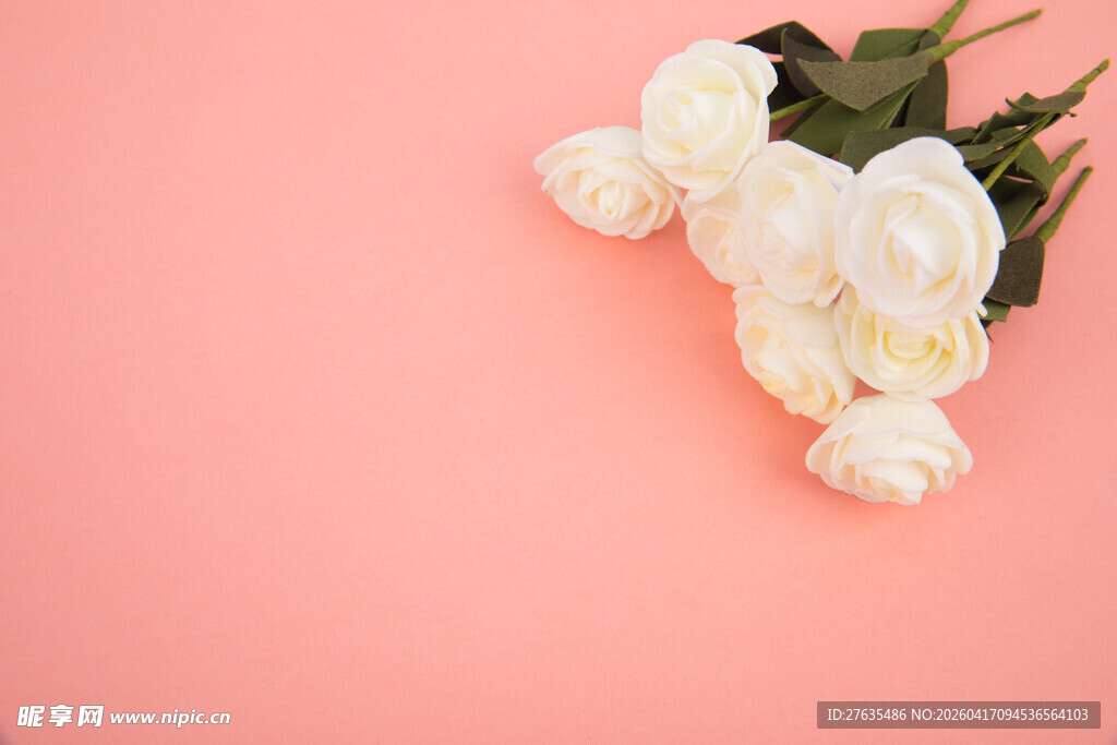粉色背景上的白玫瑰花束