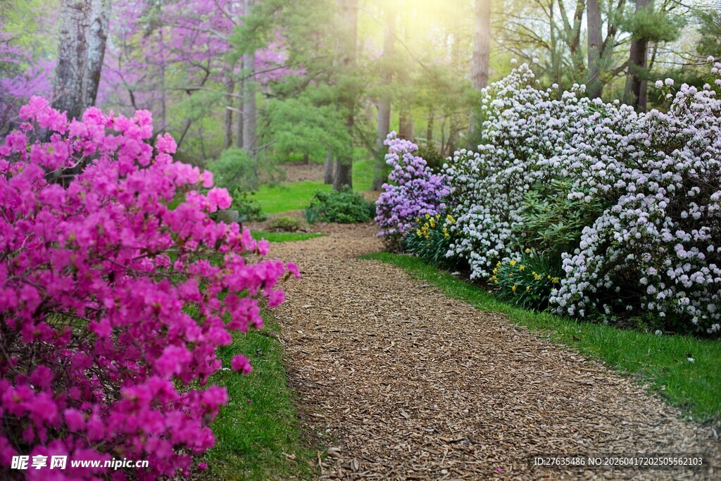 春日繁花小径