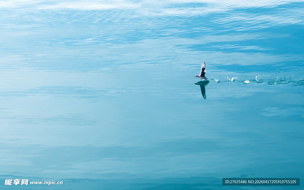 海上单人桨板运动