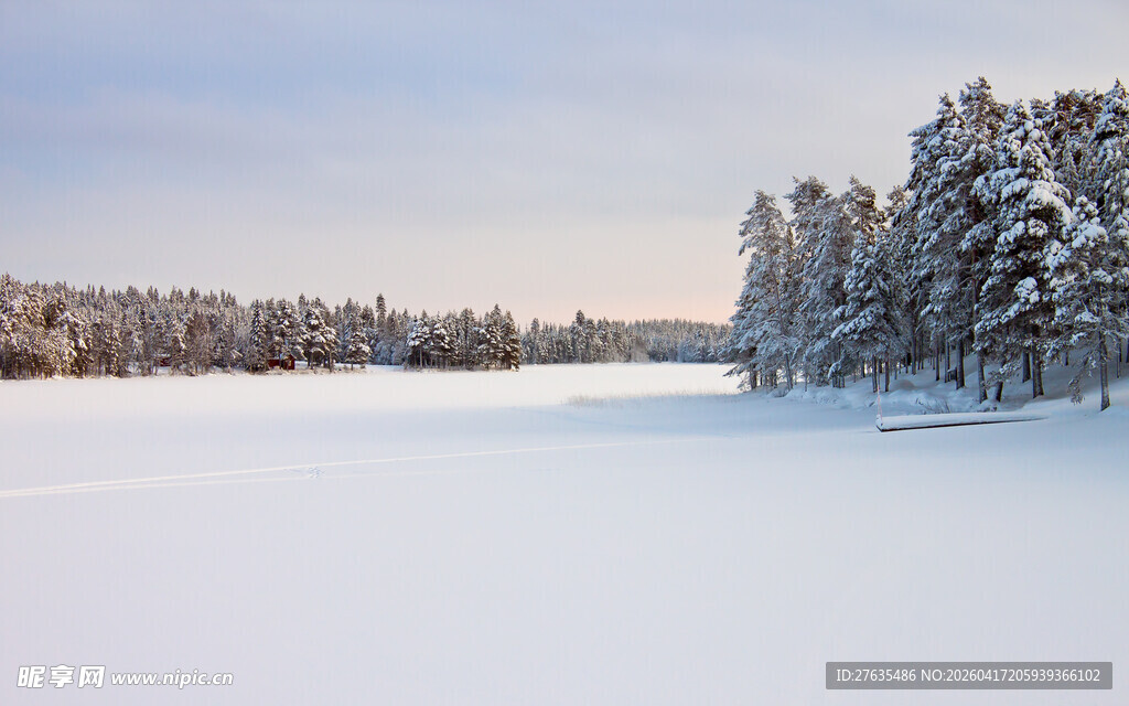 冬日雪覆森林湖泊美景