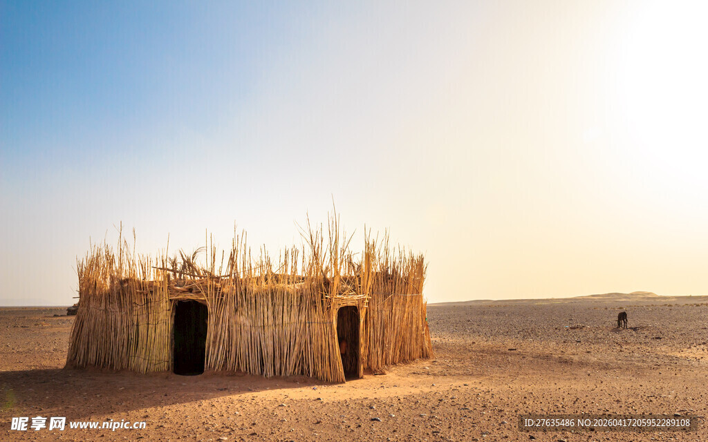 沙漠中的简易草屋