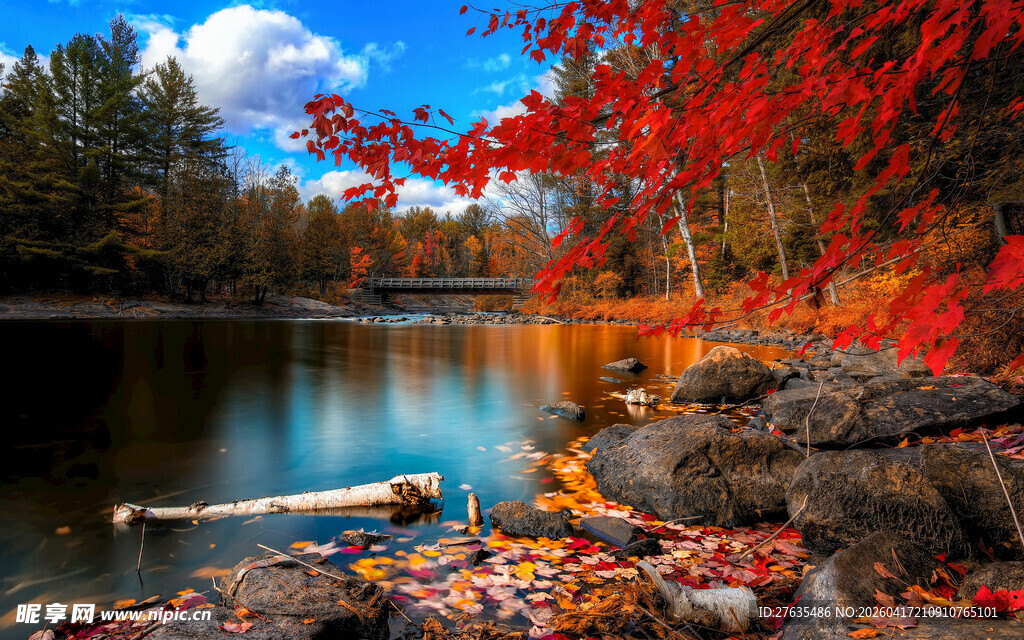 秋日湖畔红叶美景
