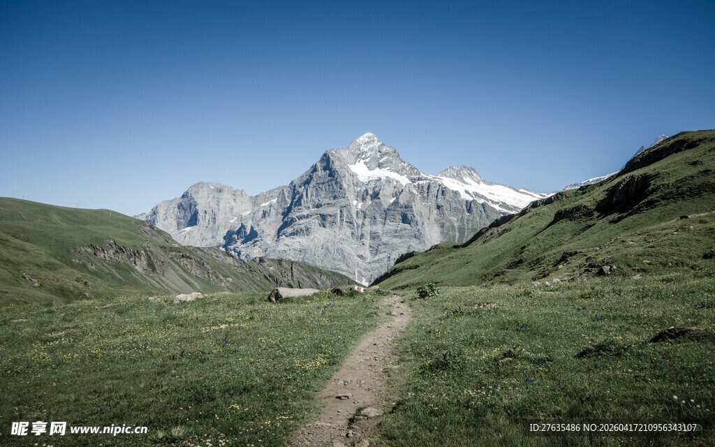 山间小径旁的巍峨雪山
