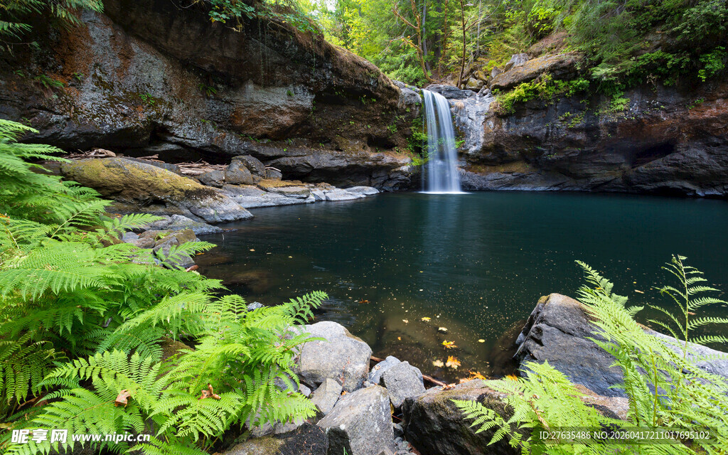 森林中的清新瀑布景观