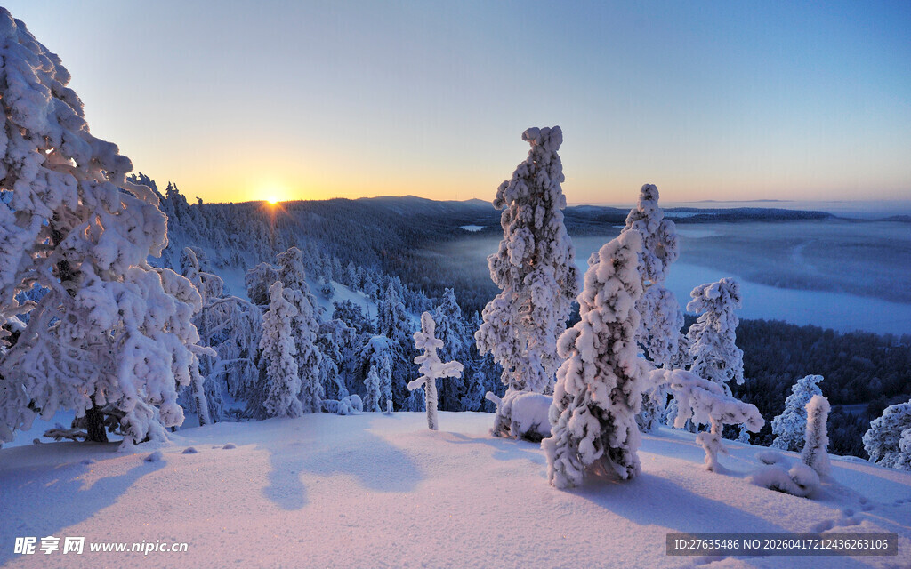 冬日雪林日出美景