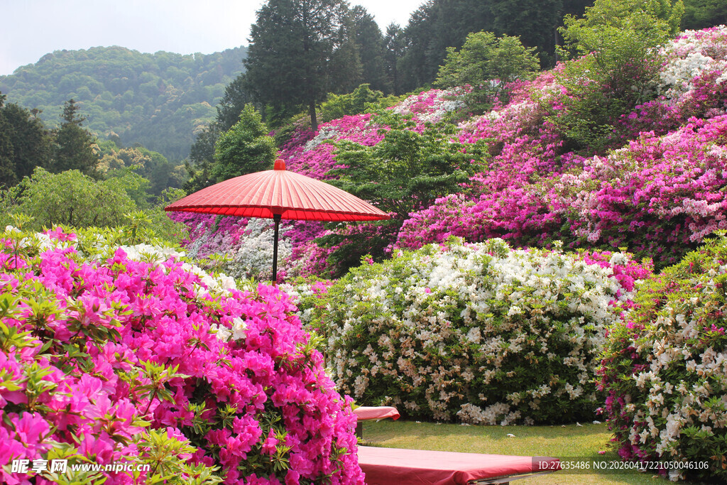 繁花似锦的山间美丽景致