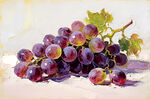 静物油画 紫葡萄与绿叶