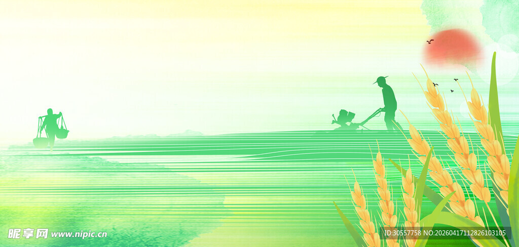 芒种节气浅绿色肌理风芒种背景