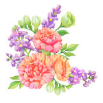 母亲节康乃馨水彩风花束装饰