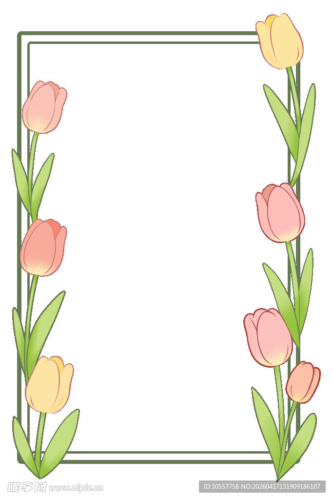 手绘郁金香花朵边框