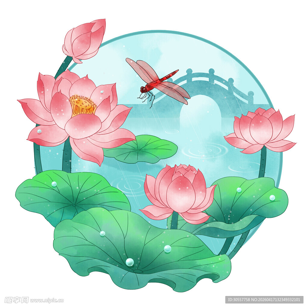 夏天夏季荷塘荷花荷叶蜻蜓