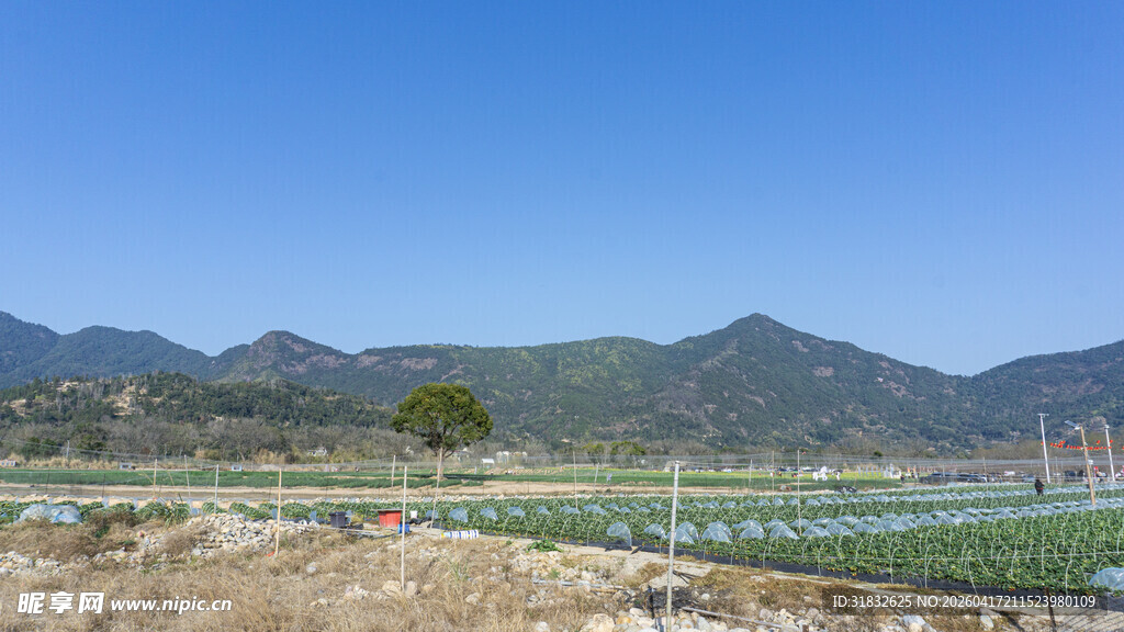 湖畔田园风光 远山如黛