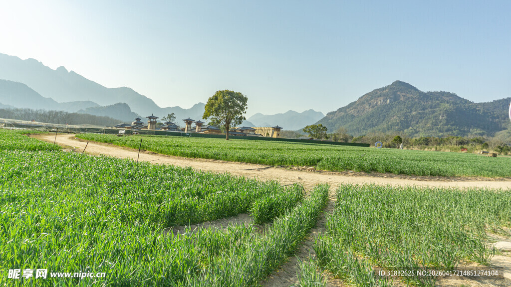 田园绿野间的乡间小路