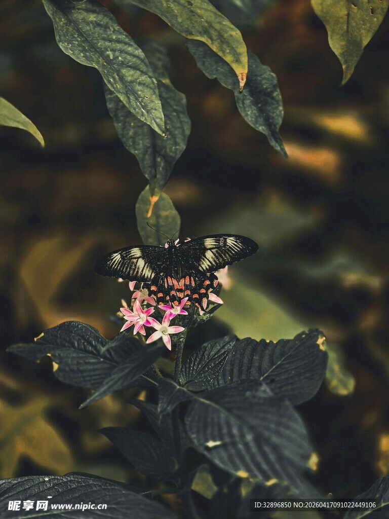 绿叶间的粉色精致小花