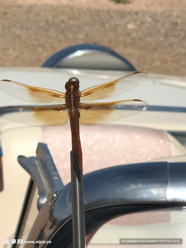 汽车天线特写