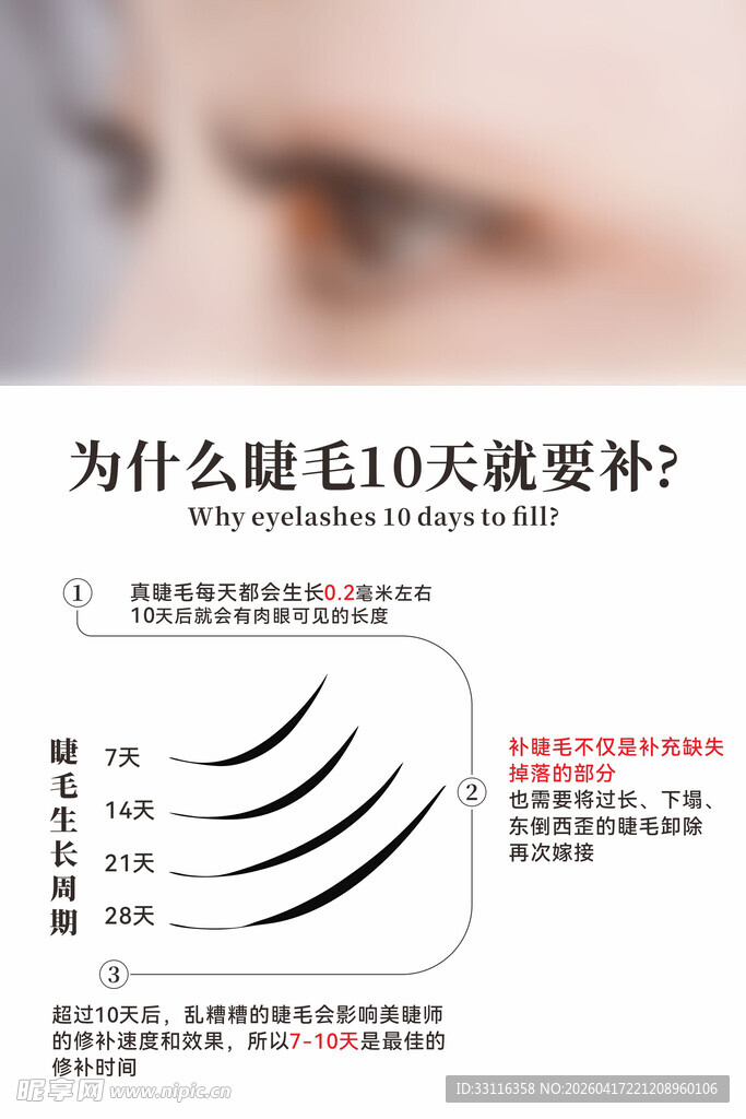 睫毛补接知识讲解