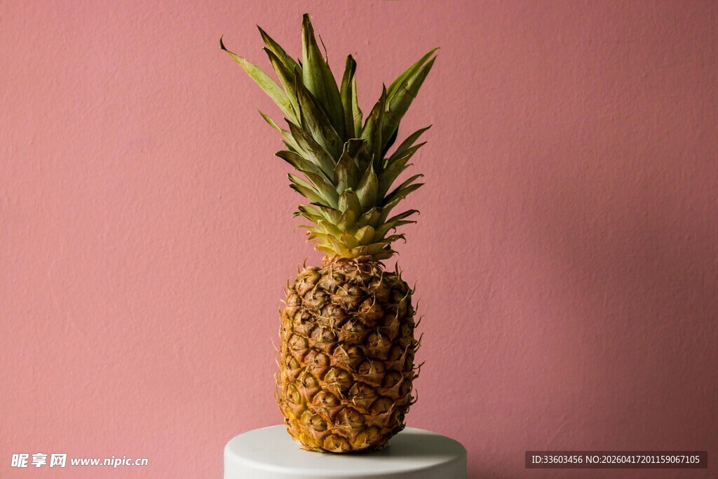 粉色背景上的鲜菠萝