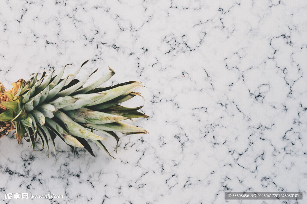 大理石上的新鲜菠萝