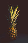 单个菠萝静物特写