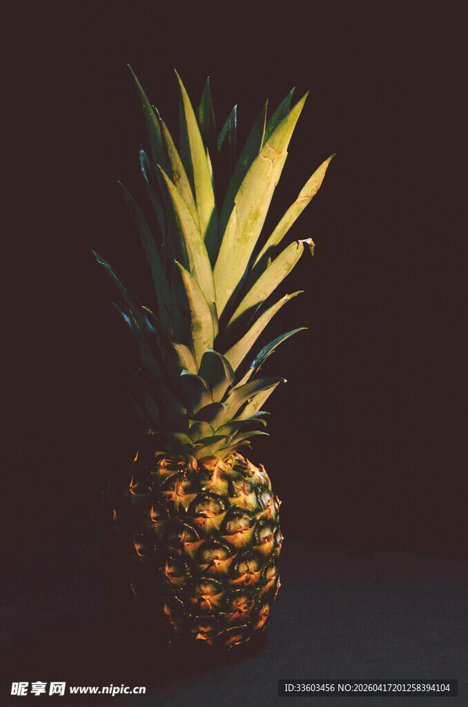 单个菠萝静物特写