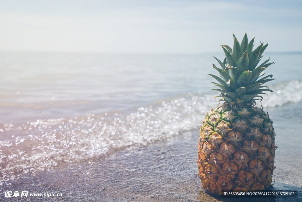 海边的菠萝
