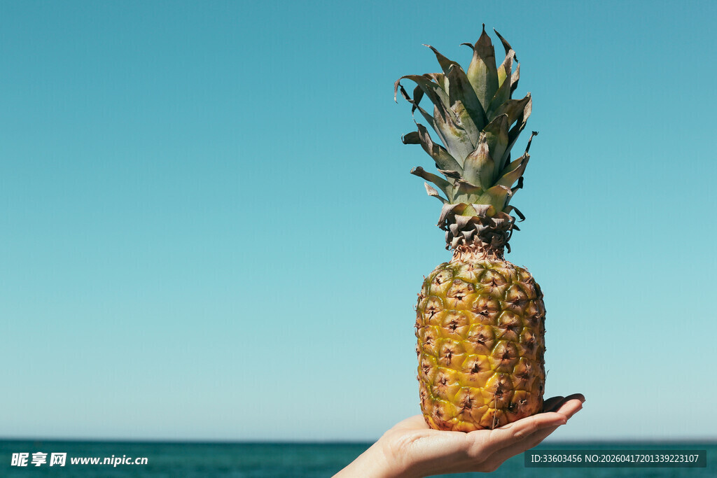 手托菠萝于碧海蓝天间