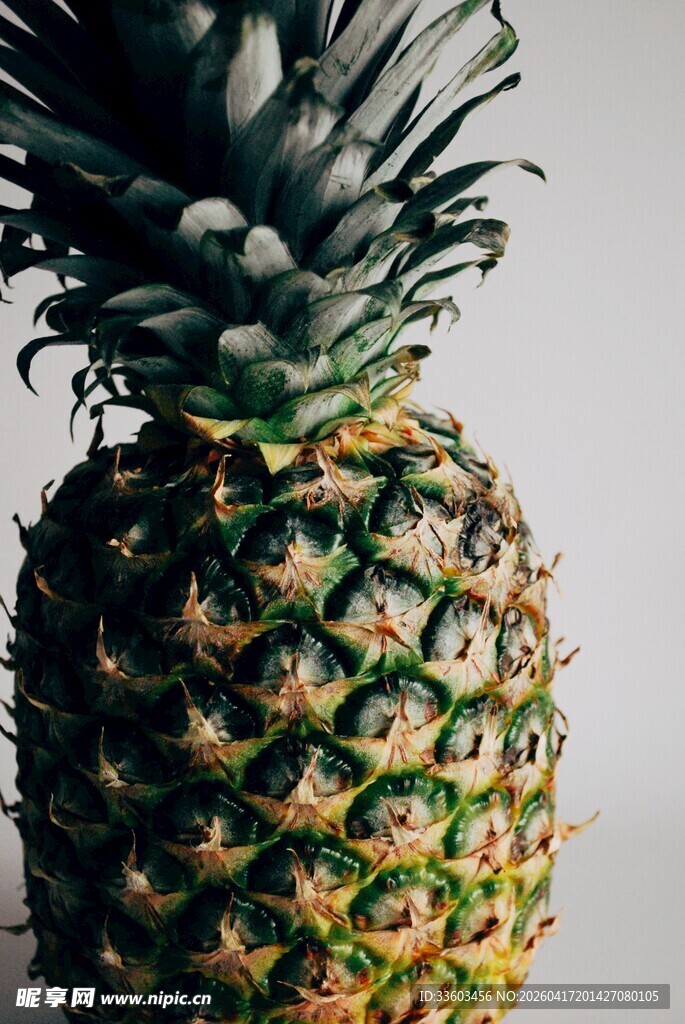 新鲜菠萝特写