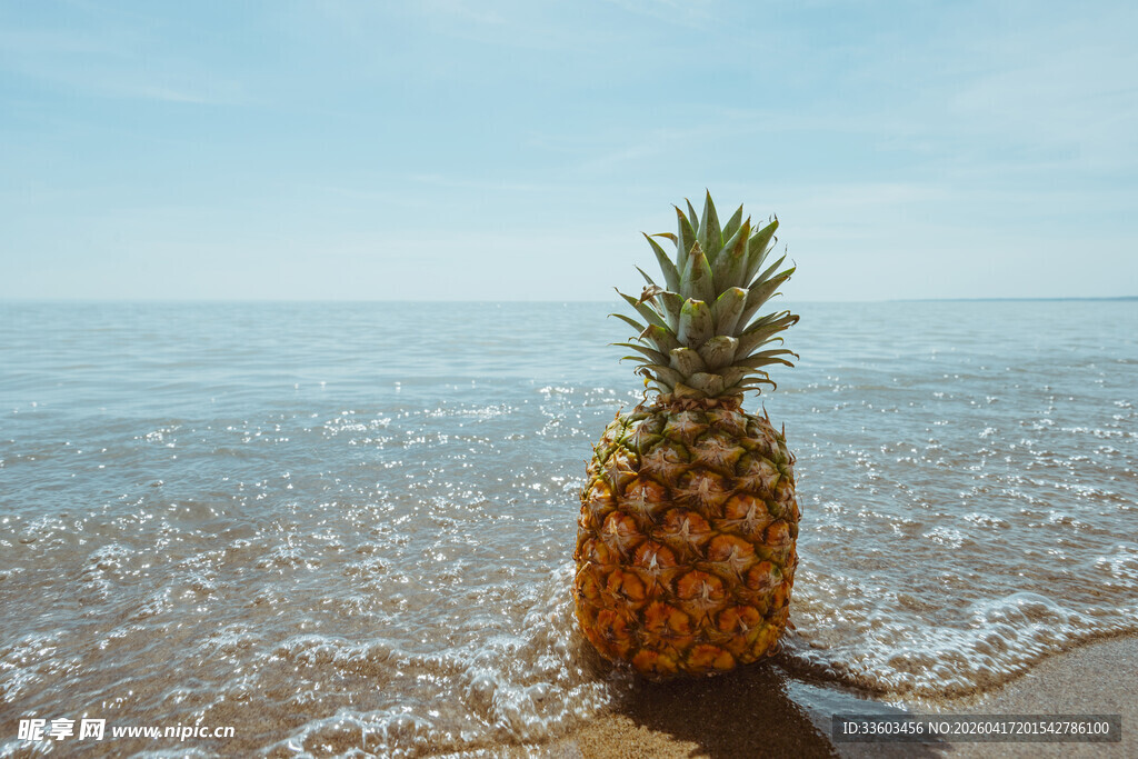 海滩上的孤独菠萝