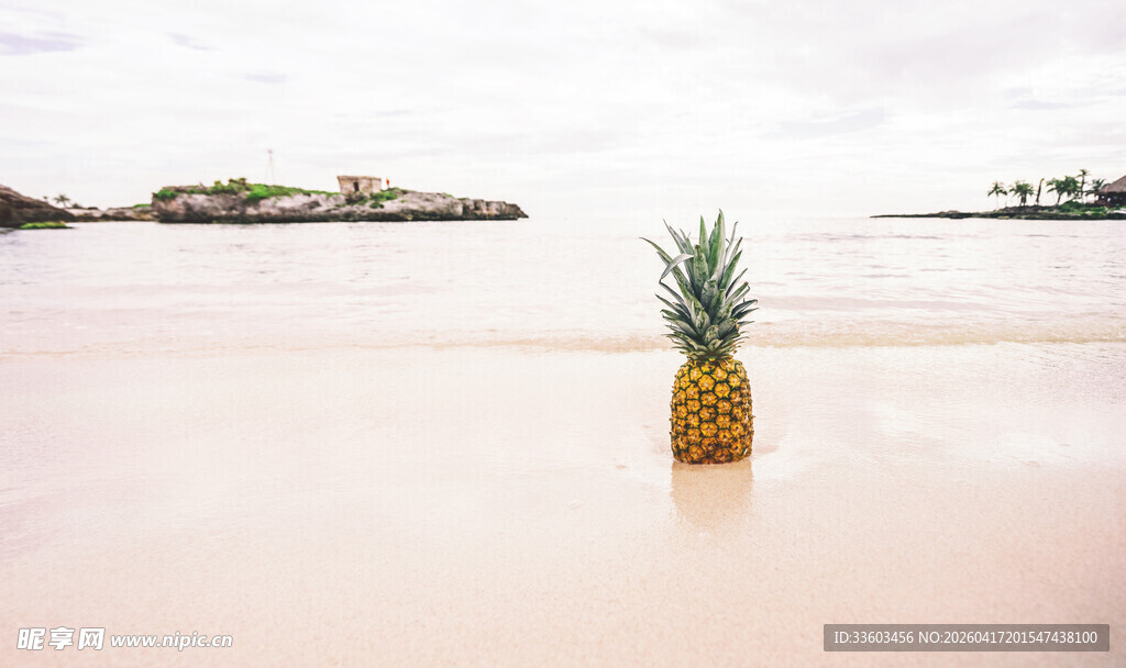 沙滩上独自的菠萝