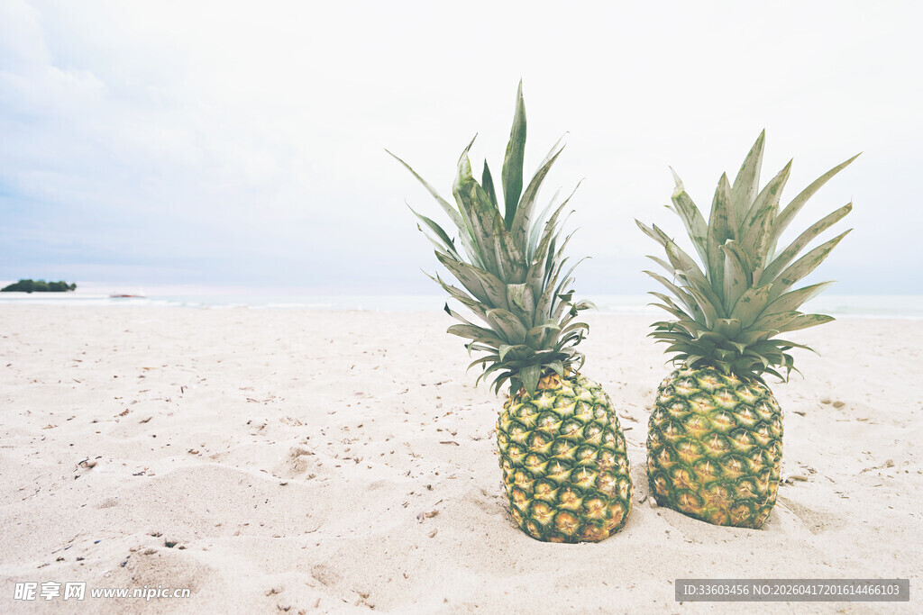 沙滩上的两颗新鲜菠萝