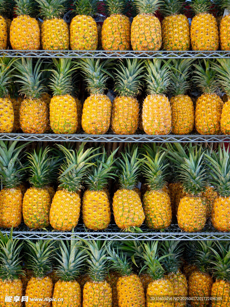 整齐排列的新鲜菠萝
