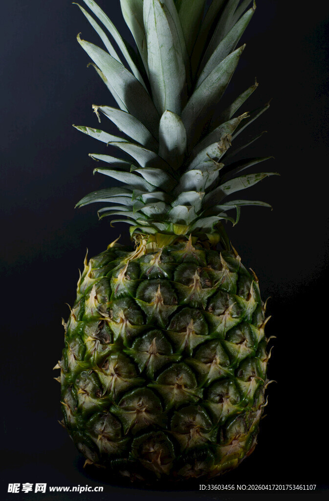 新鲜菠萝特写