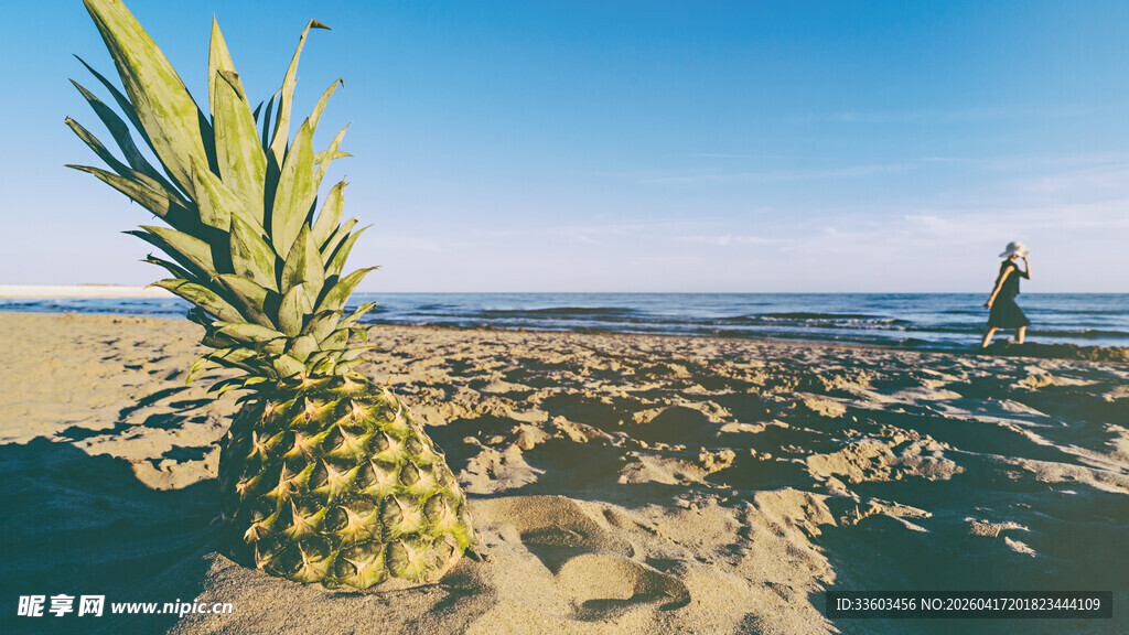 沙滩上的菠萝与远方景象